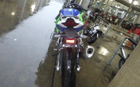 KAWASAKI ZX-4RR 2024 ZX400P