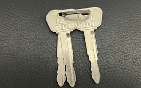 YAMAHA LANZA DT230 4TP