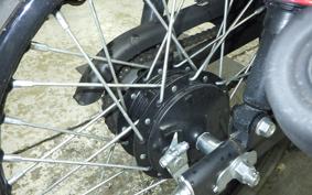 KAWASAKI W175 TR