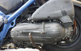 HONDA ZOOMER 2025 AF58