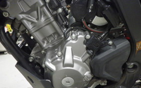 HONDA CRF250L 2007 MD47