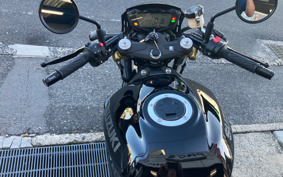 SUZUKI SV650X ABS 2021 VP55B