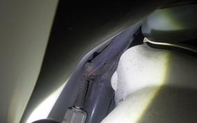 HONDA GYRO CANOPY TA03