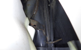 YAMAHA VINO 50 SA37J