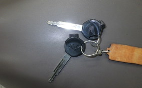 HONDA GIORNO 2 2025 AF70