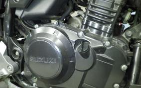 SUZUKI V-STROM 250
