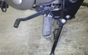 HONDA MONKEY 125 2024 JB02
