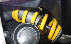 YAMAHA XSR900 GP 2024 RN96J