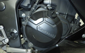 KAWASAKI Z250 2022 ER250C