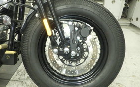 OTHER THUNDER 250 2025