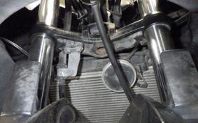KAWASAKI NINJA 250R EX250K