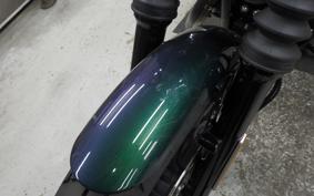 HARLEY XL883N 2021