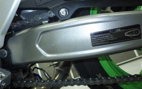 KAWASAKI ZX-4RR 2024 ZX400P