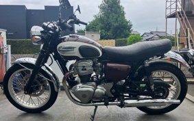 KAWASAKI W650 2010 EJ650A