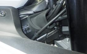 TRIUMPH DAYTONA 660 2024