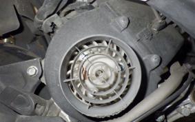 HONDA DIO CESTA GEN 2 AF68