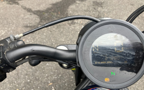 HONDA  REBEL 250 ABS MC49