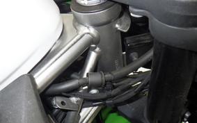 KAWASAKI ZX-4RR 2024 ZX400P