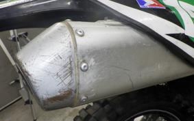 KAWASAKI KX250 F 2019 KX250Y