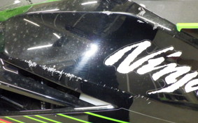 KAWASAKI NINJA 250 2019 EX250Y