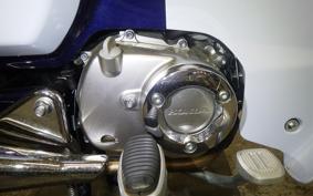 HONDA C125 SUPER CUB 2023 JA48