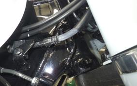 HONDA GB350C 2024 NC64