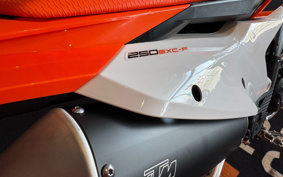 KTM 250 EXC F EXA40
