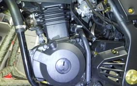 KAWASAKI NINJA 250R 2021 EX250K