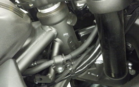 KAWASAKI ZX-4R SE 2025 ZX400P