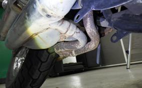 YAMAHA VIRAGO 250 3DM