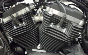 HARLEY XL883N 2018