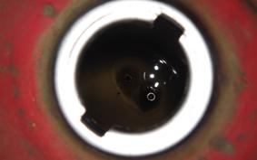 HONDA LITTLE CUB 2023 AA01