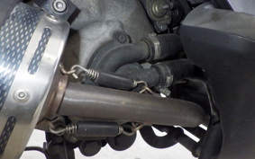 MALAGUTI PHANTOM MAX250 2021