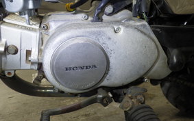 HONDA GORILLA 2024 Z50J