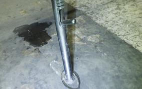 KAWASAKI Z900RS 2022 ZR900C