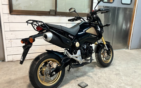 HONDA GROM JC61