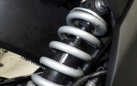 KAWASAKI Z125 PRO 2024 BR125H