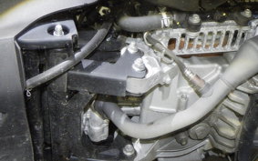 YAMAHA CYGNUS Griffus 2005 SEJ4J