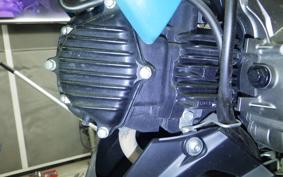 KAWASAKI Z125 PRO BR125H