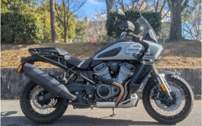 HARLEY PAN AMERICA 1250 SPECIAL 1994 ZES