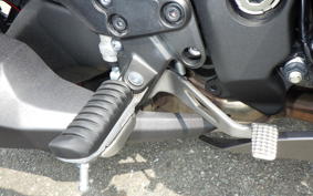 KAWASAKI NINJA 1000SX 2024 ZXT02K