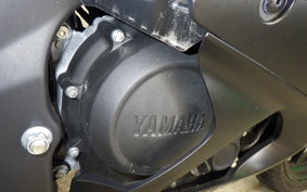 YAMAHA YZF-R15 2022