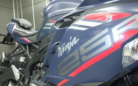 KAWASAKI ZX-25R ZX250E