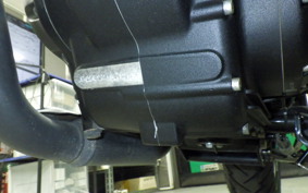 OTHER ENFIELD HUNTER 350 2023