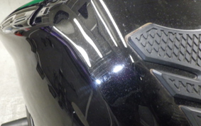 YAMAHA FZ1 FAZER 2012 RN21J