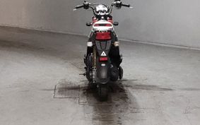 HONDA ZOOMER-X JF52