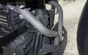 SUZUKI V-STROM 250