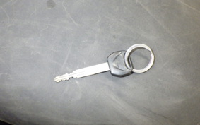 HONDA PS250 2006 MF09