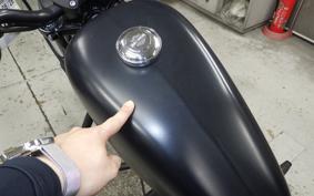 HARLEY XL883N 2018
