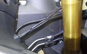 DUCATI 959 PANIGALE CORSE 2019